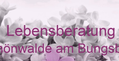Lebensberatung Schönwalde am Bungsberg | Top-Experten für Kartenlegen, Wahrsagen, Hellsehen, Zukunftsdeutung. Lebensberatung Schönwalde am Bungsberg | Top-Experten für Kartenlegen, Wahrsagen, Hellsehen, Zukunftsdeutung.